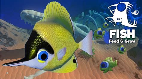 feed and grow fish|Iba pa.